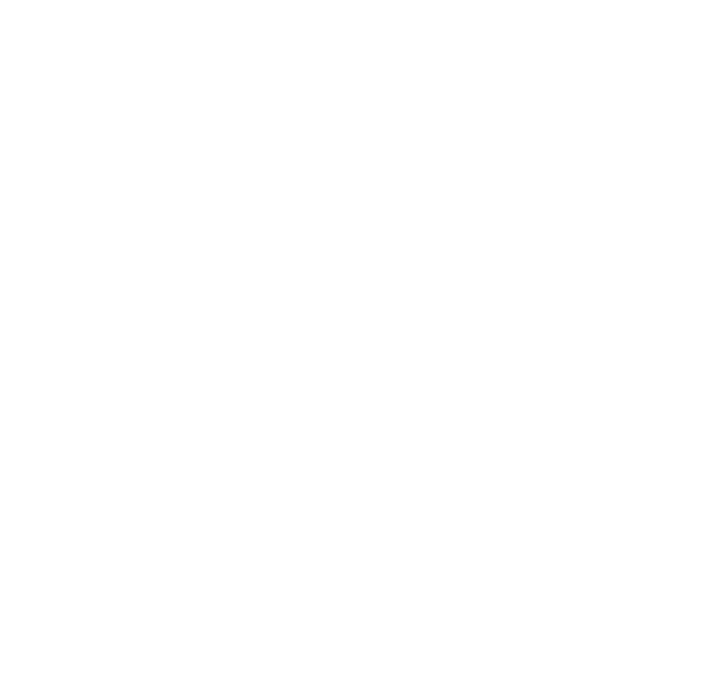 Peace, Justice and Strong Institutions