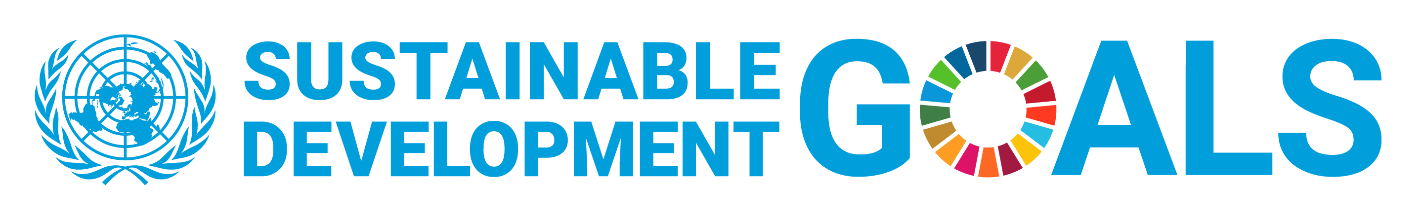 sdg logo